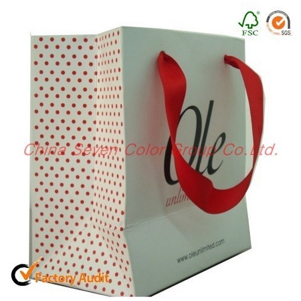 Customize Retail Paper Bag With Your Logo Printed 